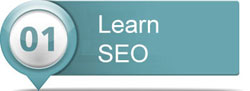 Section 1: Learn SEO
