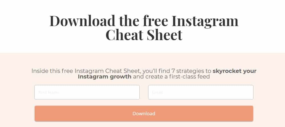 Lead Magnet Cheat Sheet Example