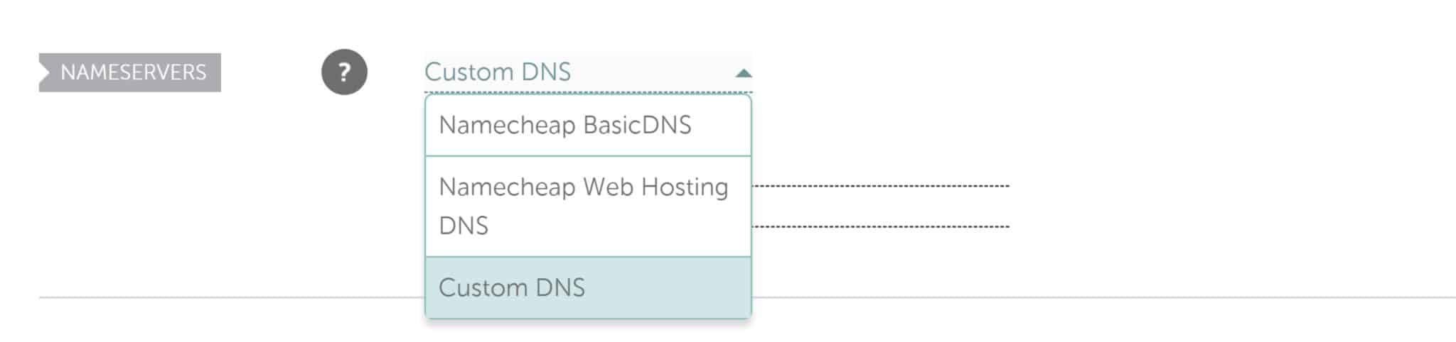 Custom DNS'.