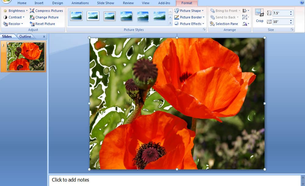 Screenshot for PowerPoint 2007 transparency to image.