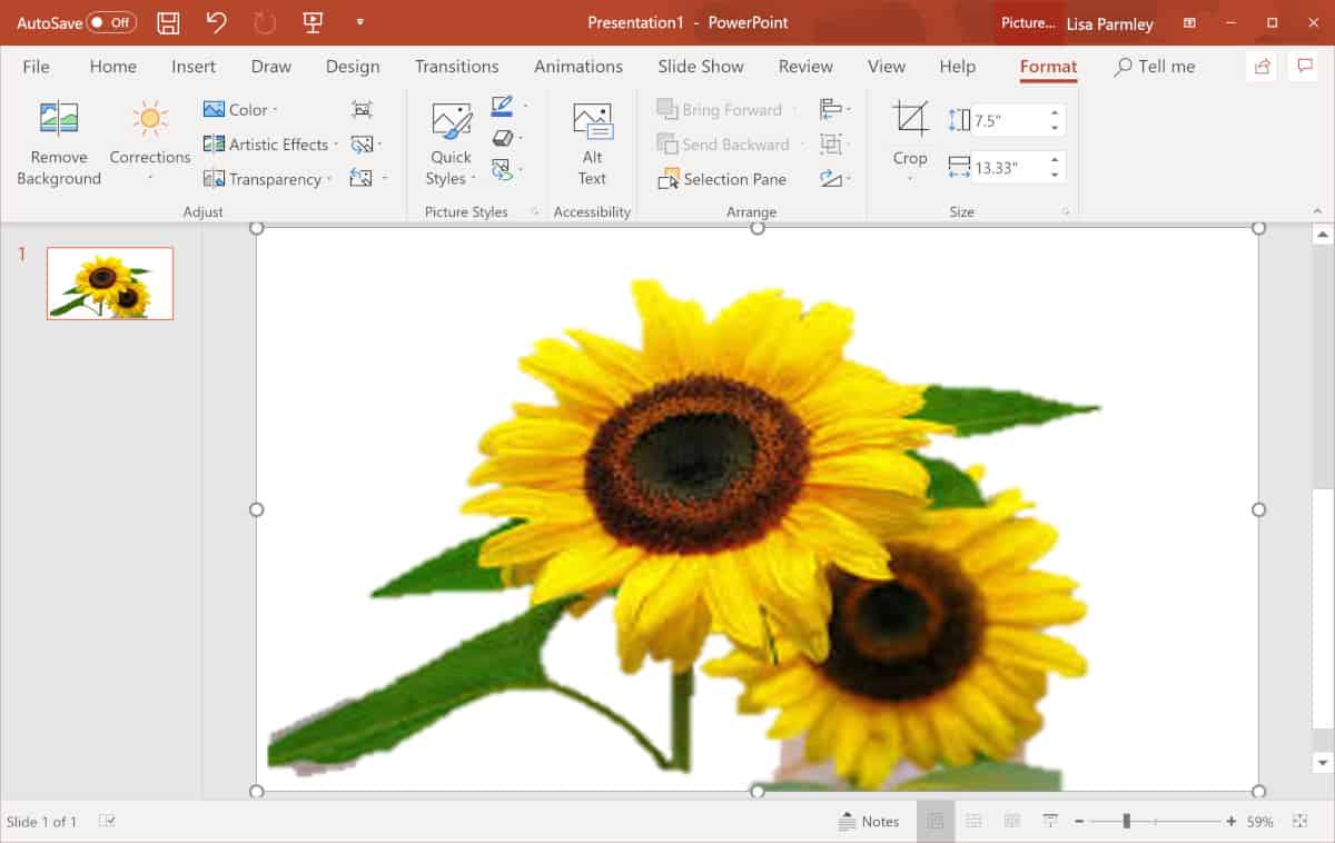 Screenshot of background removal in PowerPoint.