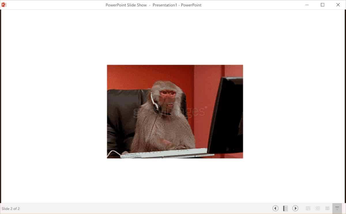 Screenshot of GIF playing.