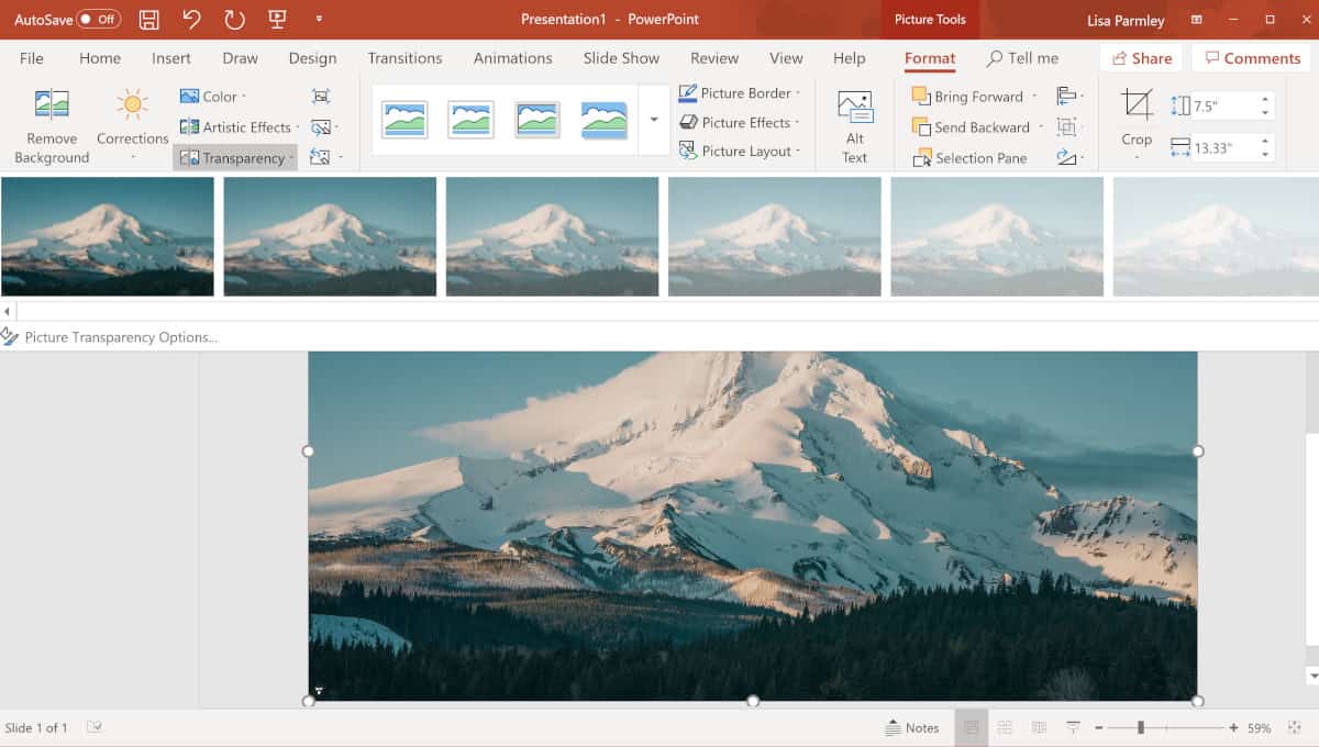 Screenshot of PowerPoint transparency.