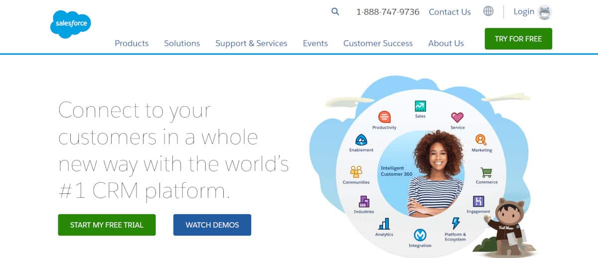 Screenshot of salesforce.