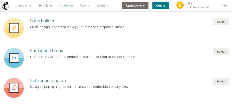 Screenshot for Mailchimp forms.