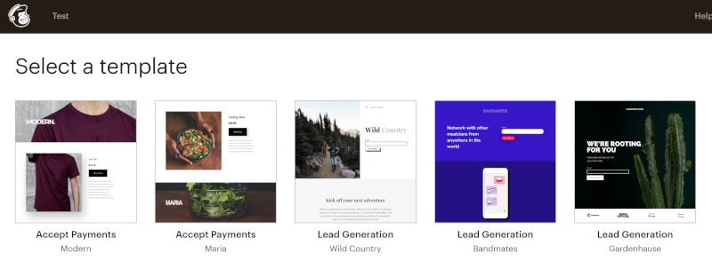 Screenshot for Mailchimp landing page choices.