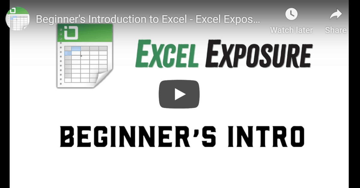 Excel Exposure Video Sample