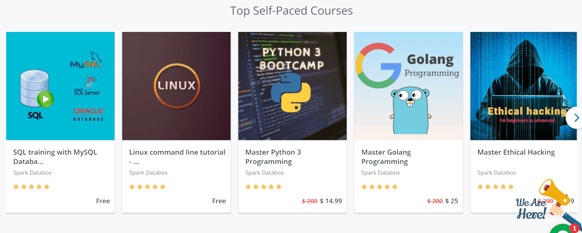 sparkdatabox.com courses