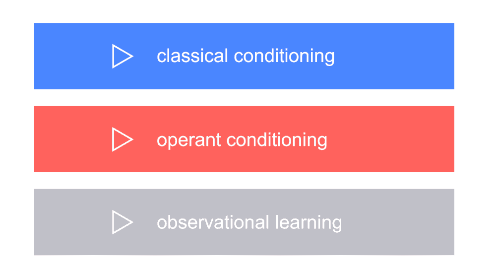 graphic showing 3 types of cognitive learning