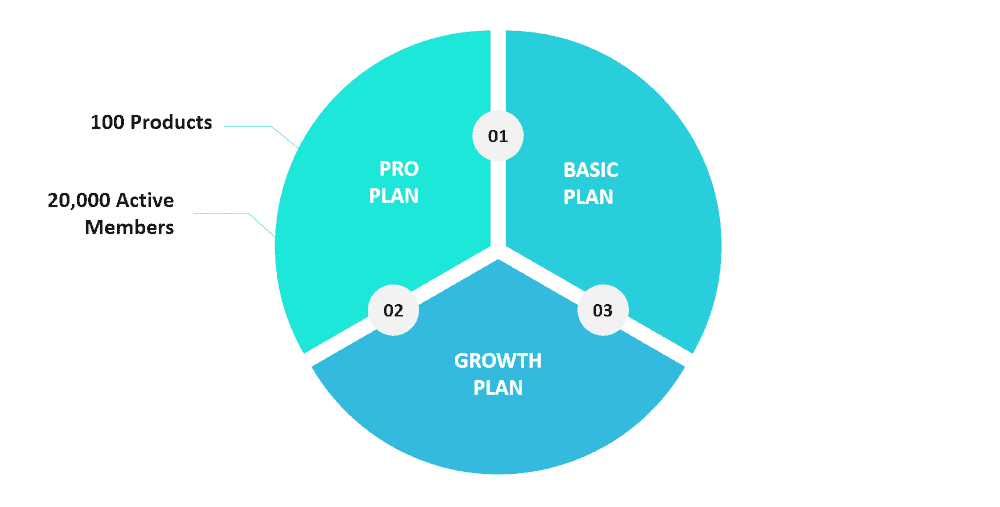 Chart showing Kajabi's Pro plan along with a couple of its main features.