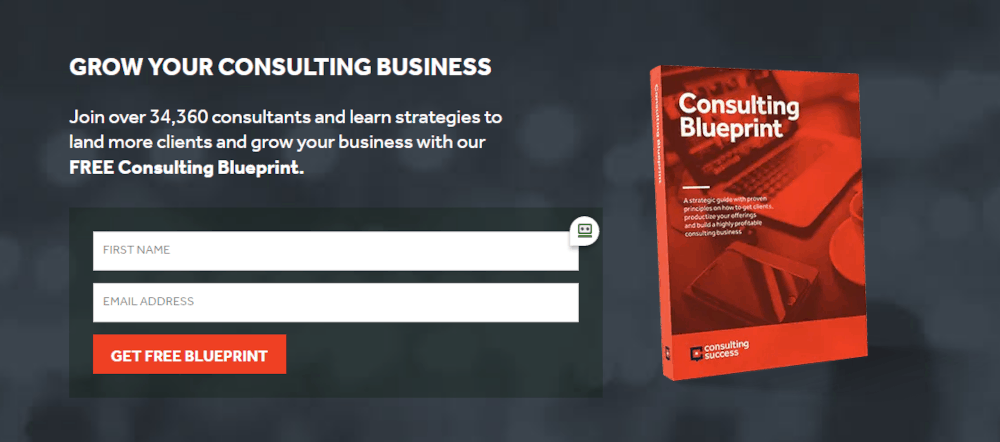 consultingsuccess.com lead magnet