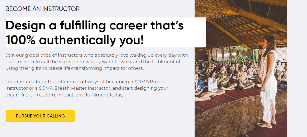 design a fulfilling career