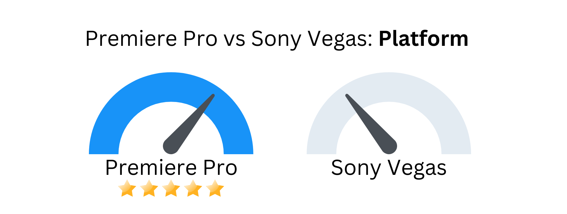 Custom image with Premiere Pro vs Sony Vegas based on platform.