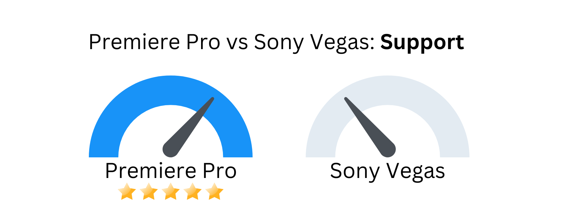 Custom image with Premiere Pro vs Sony Vegas based on support.