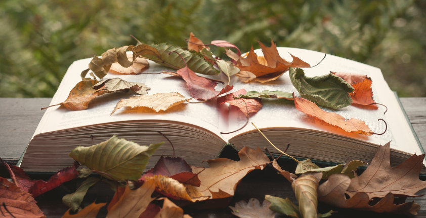 Photo of a book with leaves on it outside.